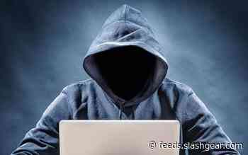 Hacker almost poisoned a Florida city’s water supply
