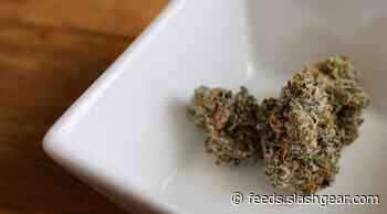 Marijuana may significantly lower blood pressure in older users