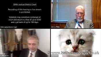 ‘I’m not a cat’: Lawyer goes viral for accidental kitten filter
