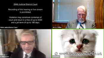 Lawyer assures judge he isn’t a cat after Zoom filter faux pas