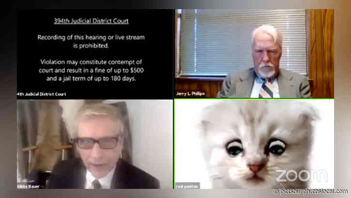 ‘I’m Here Live, I’m Not A Cat’: Texas Attorney Struggles To Remove Cat Filter During Zoom Court Hearing