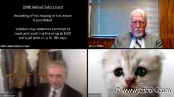 'I’m not a cat': West Texas attorney's Zoom court mishap goes viral