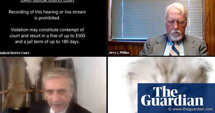 'I’m here live, I’m not a cat': lawyer appears with kitten filter in Zoom court – video
