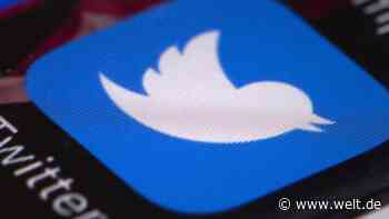 Twitter-Nutzerzahl legt auch nach Trump-Rauswurf zu