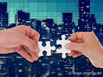 BASF und Siemens Energy wollen bei Carbon Management zusammenarbeiten - Chemie.de