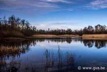 BUURTREPORTAGE. Op wandel – en lang niet alleen – in de Hobokense Polder - Gazet van Antwerpen
