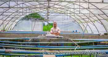 Fish farming in Angola: Entrepreneur provides snapshot of his business - How we made it in Africa
