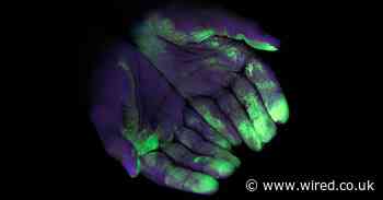 Does Covid-killing UV tech work?