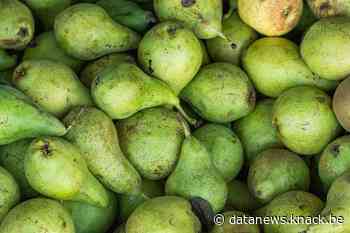 Lijstjes-app Prepear mag perenlogo houden