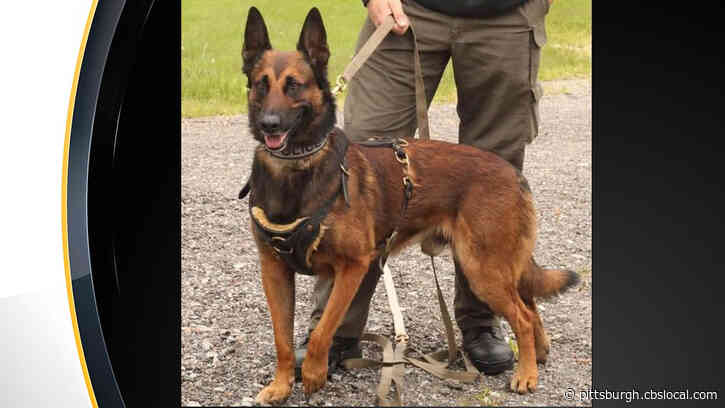 North Fayette Township Police Department K9 Nevo Passes Away