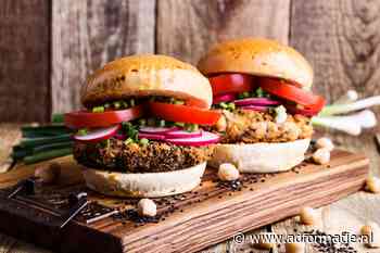 Zo hard gaat de vleesvervangersmarkt in Nederland