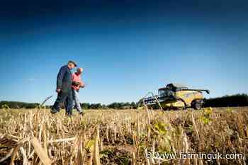 Growers to trial new UK variants of beans to slash food miles - FarmingUK