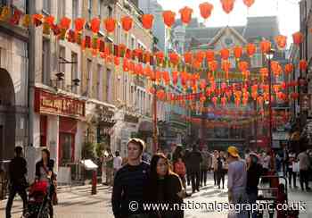Six of London’s best international food shops - National Geographic UK