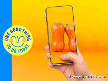 Olio food sharing app helps you recycle spare veg and produce - Time Out London