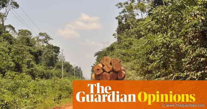We're on a collision course with the planet. But with public support, that can change  | Larry Elliott