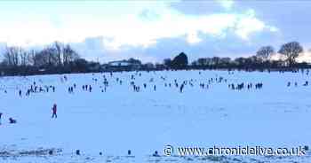 Footage shows hundreds of people sledging at sports field despite lockdown