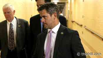 Kinzinger PAC to go on attack against 'Trumpism'