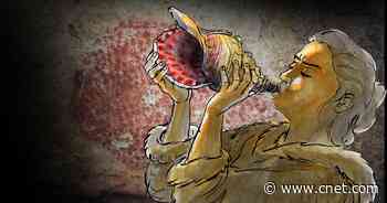 Ancient conch shell horn blown for the first time in 18,000 years     - CNET