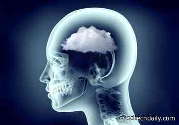 Cancer Researchers Discover What’s Driving “Brain Fog” in People With COVID-19