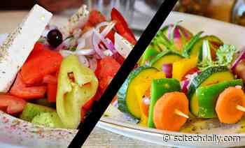 Groundbreaking New Study Compares Vegan and Mediterranean Diets for Weight Loss and Cholesterol Control