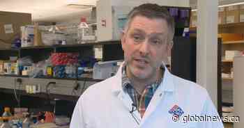 Clinical trials start for VIDO’s COVID-19 vaccine candidate