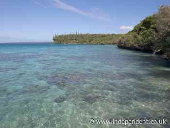 Undersea earthquake strikes in South Pacific, triggering tsunami warnings