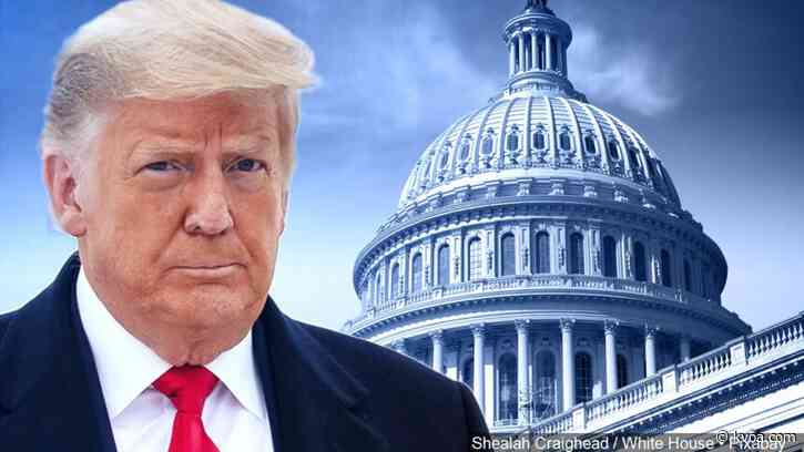 Trump accused as ‘inciter in chief’ of Capitol insurrection