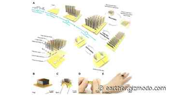 Scientists Have Created a Recyclable, Self-Healing Wearable That Could One Day Power Gadgets - Gizmodo