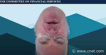 Zoom cat filter lawyer passes torch to upside-down congressman     - CNET