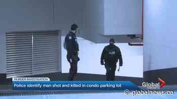 Toronto police investigating 9th homicide of 2021 | Watch News Videos Online - Globalnews.ca
