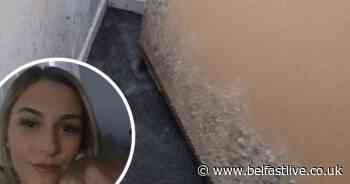 Belfast mum fears for babies' health as water runs down walls and mushrooms grow in home - Belfast Live