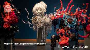 How the arts can help you to craft a successful research career - Nature.com