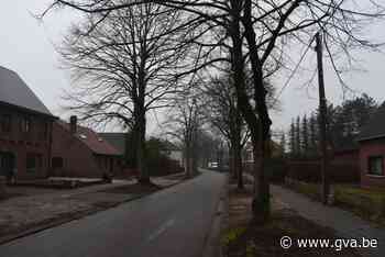 Impasse rond bomen legt heraanleg Onze Lieve Vrouwstraat lam - Gazet van Antwerpen