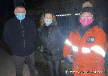 Gatti morti a Samarate, si teme un'azione premeditata - - varesenews.it