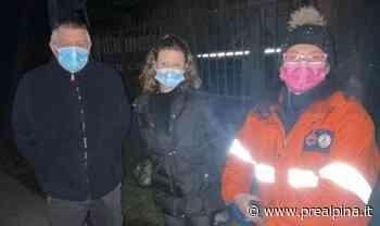 Samarate, caccia al killer dei gatti - La Prealpina