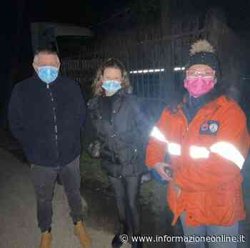 Gatti morti a Samarate: «Segnalate episodi sospetti alla polizia locale» - InformazioneOnline.it