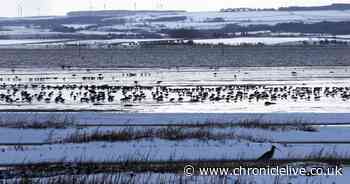 UK wakes after coldest night for 11 years as big freeze continues