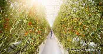 Bringing the future to life in Abu Dhabi