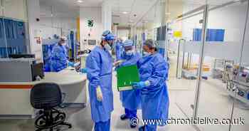 Lack of PPE put health and social care staff in danger, report says