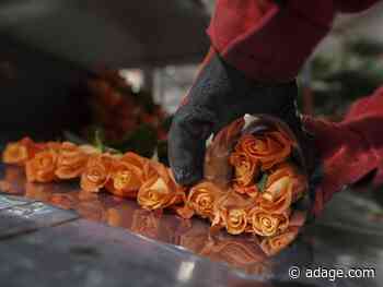 Valentine's Day 2021 by the numbers