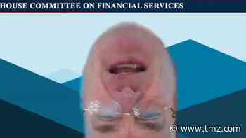 Congressman Tom Emmer Appears Upside-Down on Zoom During Hearing
