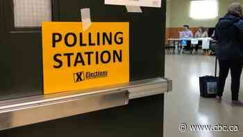 Head of Elections NL calls for Fitzgerald to delay vote, citing health and safety concerns