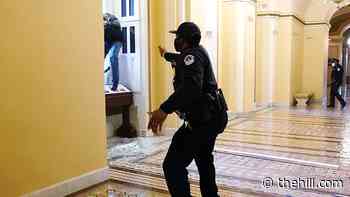 Pelosi: Officers who protected Capitol will get Congressional Gold Medal