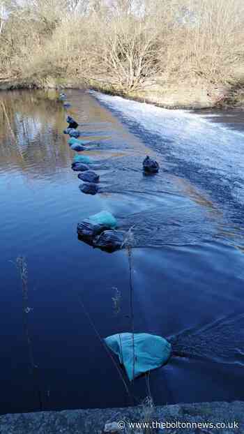 Cannabis by-products dumped in river