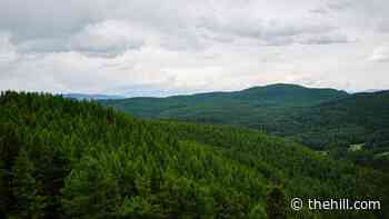 Biden administration reverses Trump changes it says 'undermined' conservation program