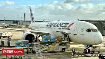 Charles de Gaulle: Plans for huge new airport terminal in Paris scrapped