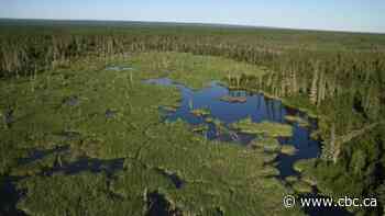 Alberta plans massive expansion of Kitaskino Nuwenëné Wildland area