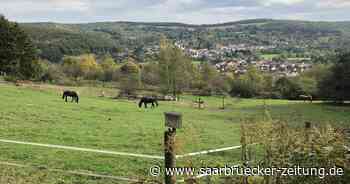 34 Projekte im Landkreis Neunkirchen werden gefördert - Saarbrücker Zeitung