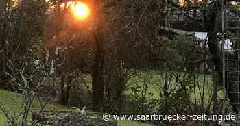 Leserfotos : Leser aus dem Landkreis Neunkirchen fotografieren die Natur - Saarbrücker Zeitung