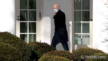 Biden eyes plan to replace Trump's 'remain in Mexico' policy